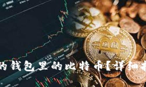 如何找回丢失的钱包里的比特币？详细指南与解决方案